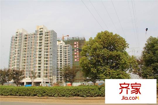 仙林國際花園在建的樓棟（2015-08-06）
