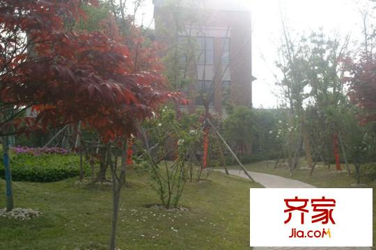 瑞景葉泊藍(lán)山項(xiàng)目園林景觀（2015-3-20）