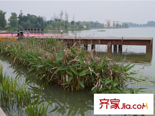 公園壹號小區(qū)景觀區(qū)實景圖