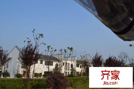 公園壹號別墅實景（2015-03-16）