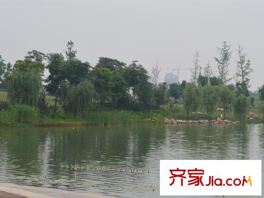 公園壹號小區(qū)周邊實景圖