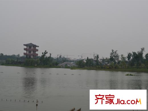 公園壹號小區(qū)園林實景圖
