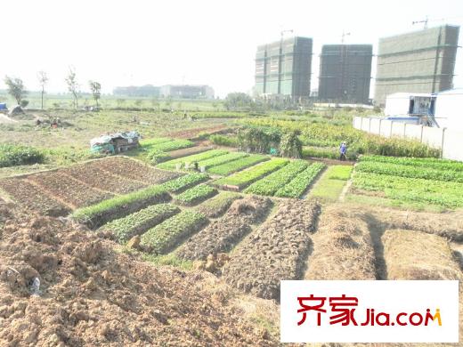 牧龍湖壹號(hào)空置地（2013.10.23）