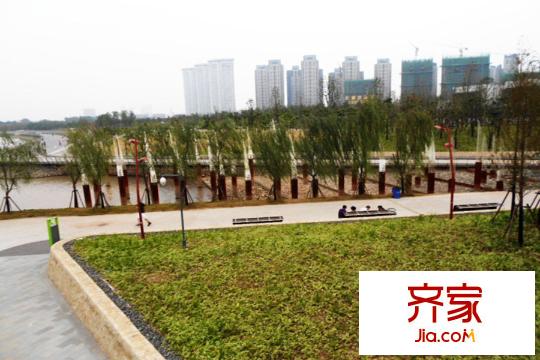 河西青奧城地塊綠化景觀（2015-3-25）