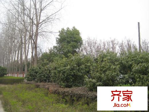 盛康河西大街地塊東南側(cè)外景（2012-3-10）