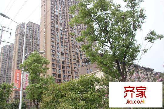 新城香溢紫郡樓幢最新實景 2015.7.29