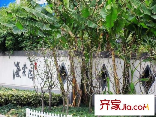 奧體月安街項(xiàng)目奧體月安街旁海棠園（2012.11）