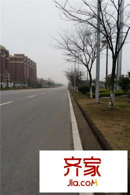 橡樹城道路（2015-3-21）