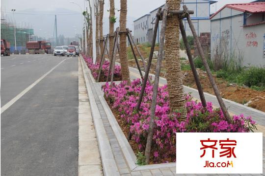 明發(fā)云庭工地最新進度 2015.6.9