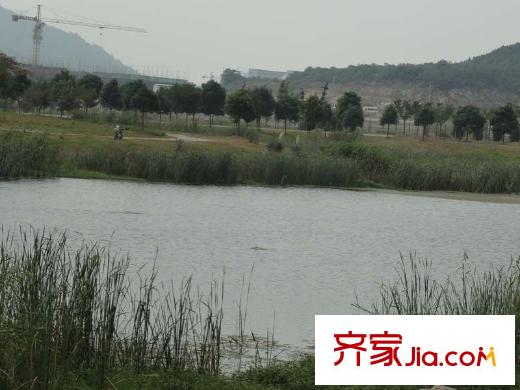 星葉楓情水岸仙林湖岸邊