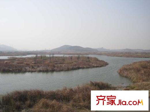星葉楓情水岸項(xiàng)目南面仙林湖