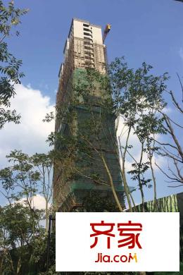 四季金輝6號樓已經(jīng)封頂（2015-09-10）