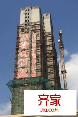 四季金輝
