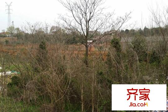 旭輝銀城白馬瀾山工地近況（2015-03-26）