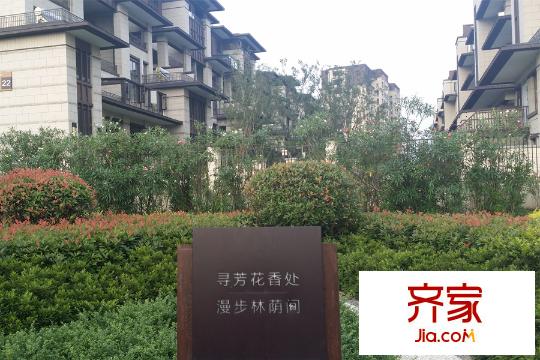 世茂君望墅小區(qū)內(nèi)部（2015-6-24）
