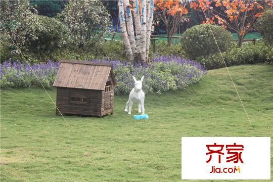 新城花漾紫郡示范區(qū)擺設(shè) 2015.9.2