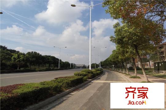 星葉羊山湖花園項目周邊道路