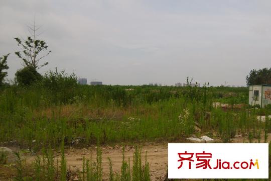 保利西江月距離項(xiàng)目1.5公里空地