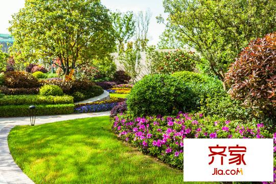 升龍公園道園區(qū)景觀（2015-6-5）