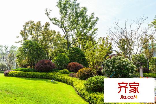 升龍公園道園區(qū)綠色景觀（2015-6-5）