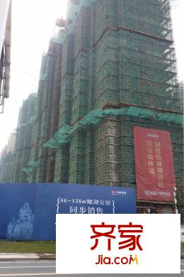金地湖城藝境在建樓棟（2015-7-13）