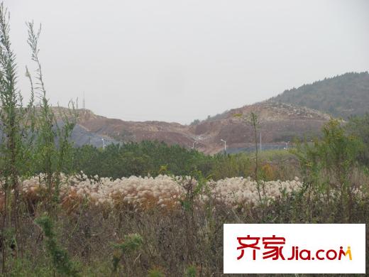 金地湖城藝境仙林湖原生態(tài)美景（2013.12）