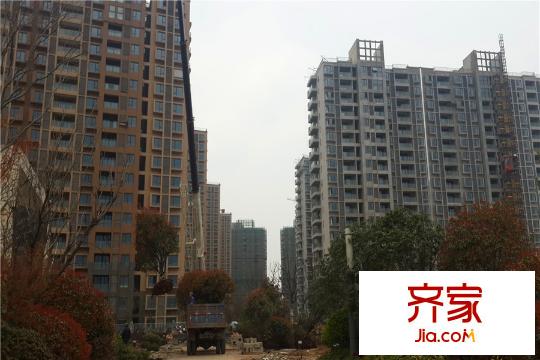 泰達(dá)青筑小區(qū)內(nèi)部正在綠化（2015-03-30）
