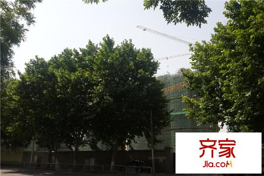 金陵雅頌居項(xiàng)目實(shí)景（2015-6-15）
