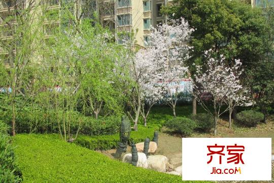 恒大雅苑社區(qū)園林實(shí)景(2015-07-22)