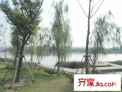啟迪方洲周邊配套中央公園