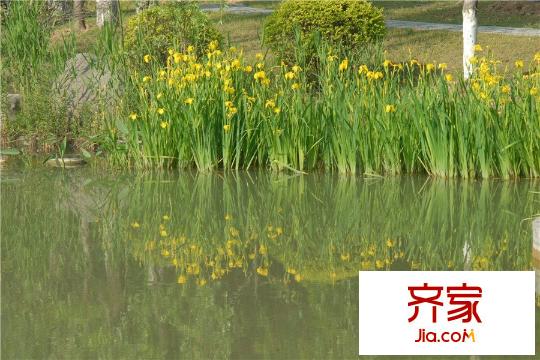運盛美之國湖邊美景