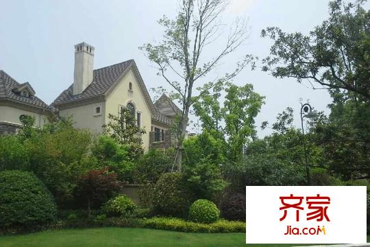 鴻信云深處現房實景（2015-3-20）