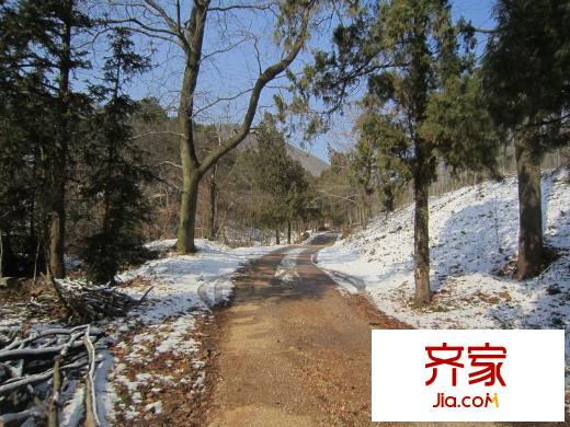 佛手湖森林莊園老山風(fēng)光