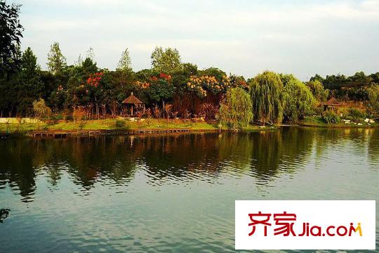 芳草名苑周邊環(huán)境