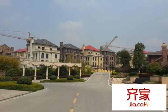 新湖仙林翠谷春色滿園（2015-03-30）