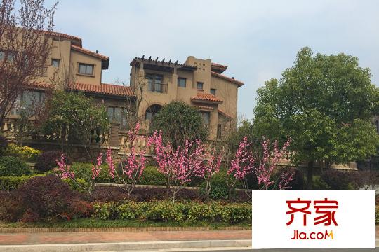 新湖仙林翠谷別墅區(qū)美景（2015-03-30）