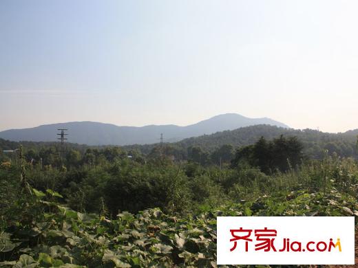 蘇寧鐘山朝陽(yáng)府項(xiàng)目南面的紫金山
