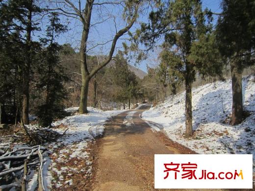 綠城玫瑰園老山風(fēng)光