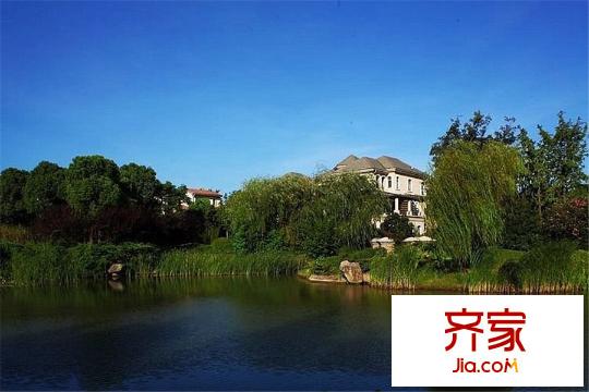 綠城玫瑰園小區(qū)內(nèi)部綠化（2015-03-19）