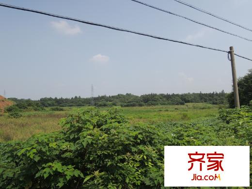 天生御景項目周邊環(huán)境（2014-08-22 ）