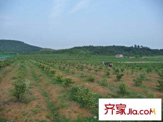 天生御景周邊綠地