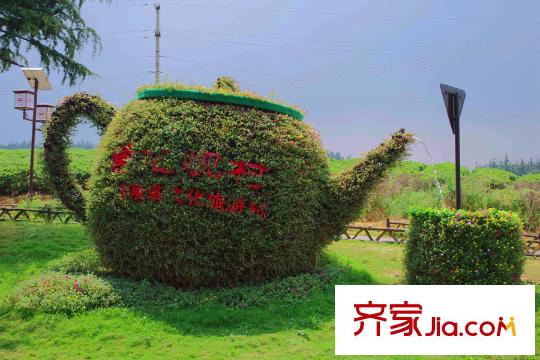 羅托魯拉周邊景色