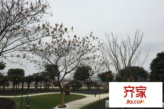 明月天瓏灣小區(qū)景觀實景（2015-3-11）