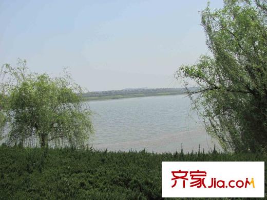 明月天瓏灣周邊配套九龍湖（2012.12.27）