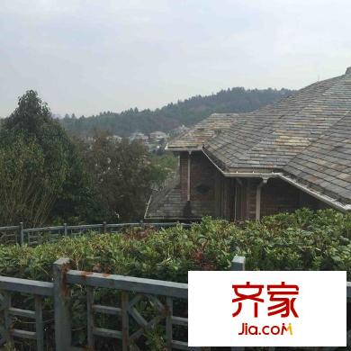 帝景天成別墅外景圖 