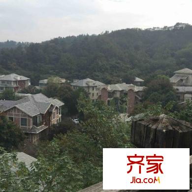 帝景天成別墅外景圖