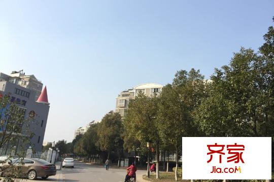 金泉泰來苑綠化（2015.03.12）