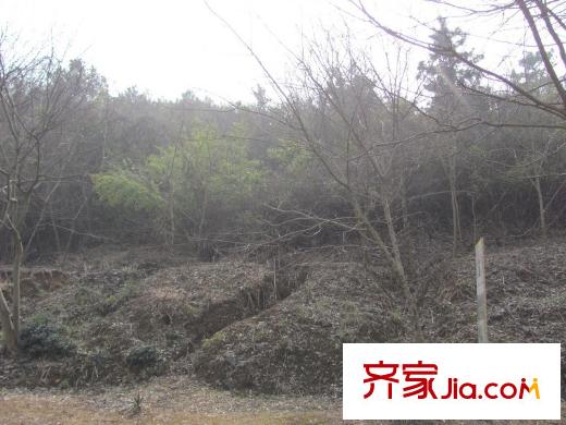 山水華門配套圖周邊配套將軍山