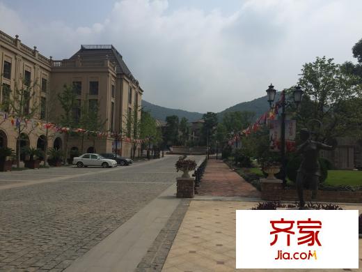 新湖仙林翠谷別墅外景圖