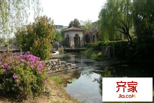 加州城售樓處園林實景（2015-7-1）